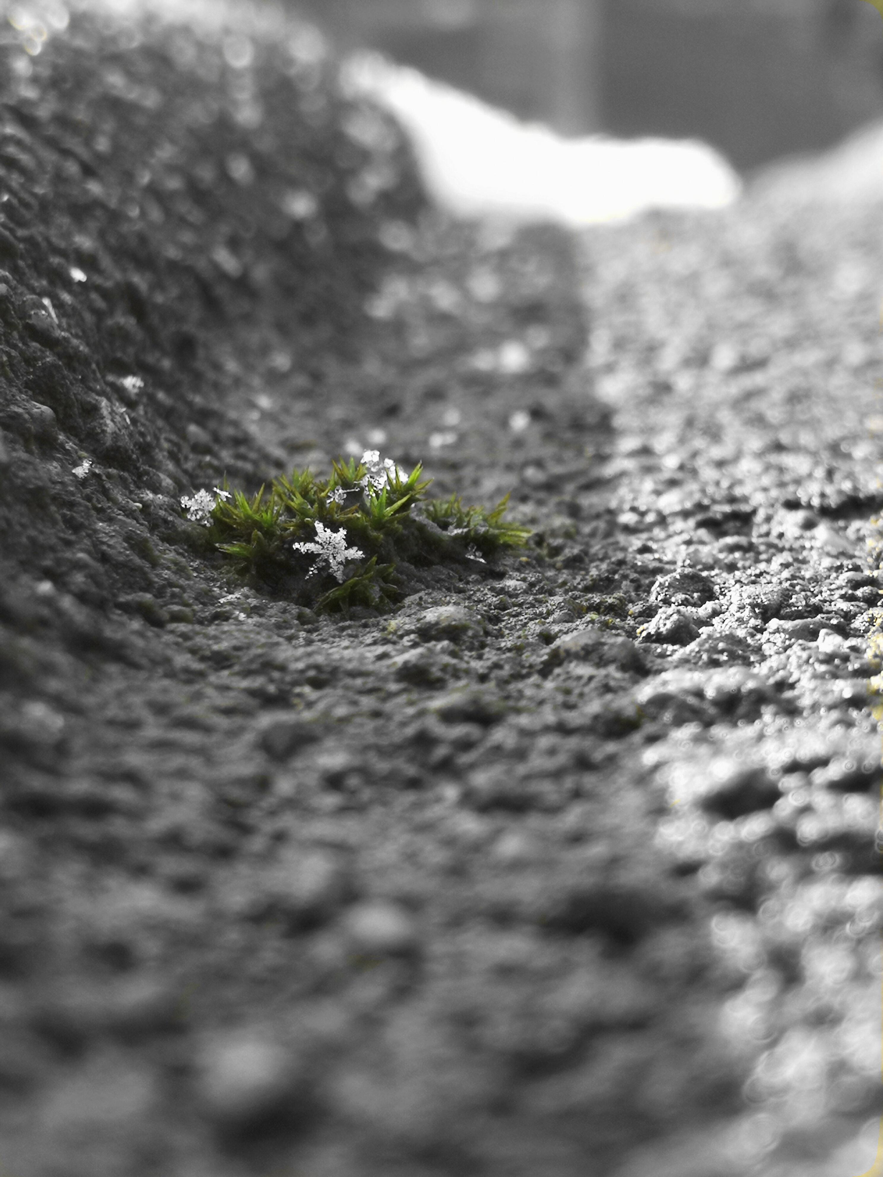 Bild konnte nicht geladen werden